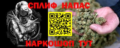 мдпв Новозыбков