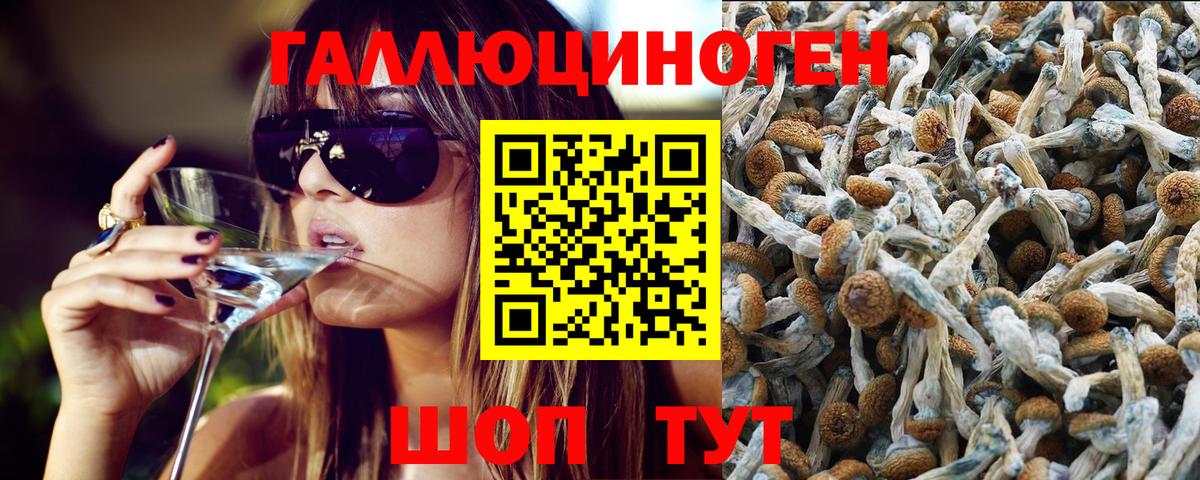 наркошоп  Галлюциногенные грибы мицелий  Вход с VPN  Урус-Мартан 