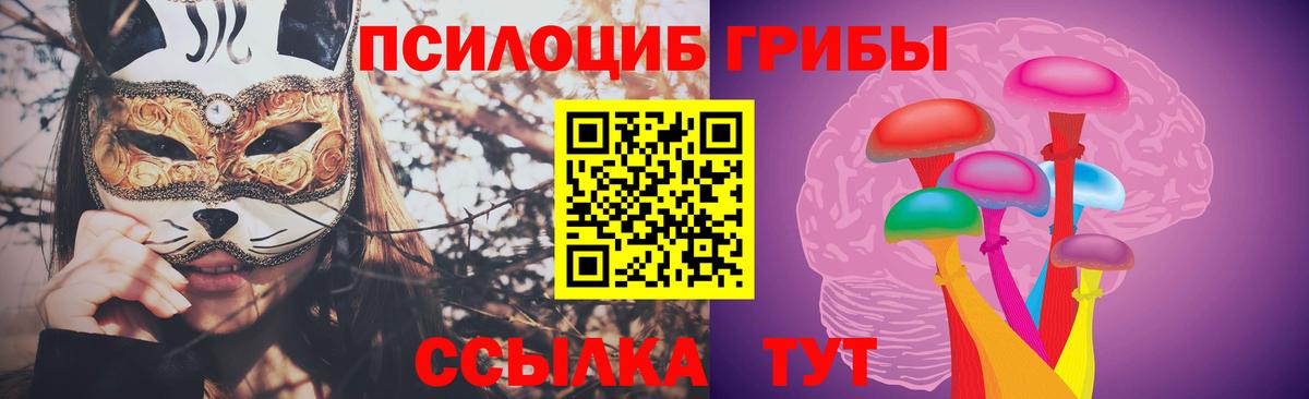 Галлюциногенные грибы Psilocybine cubensis Урус-Мартан
